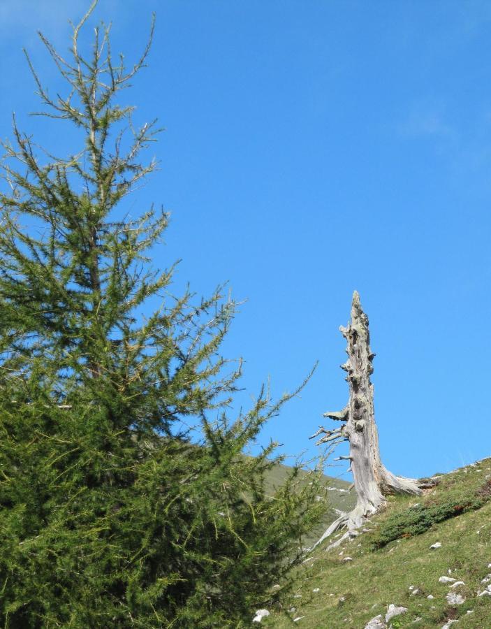 Ferienhaeuser Troester Bad Kleinkirchheim Exterior foto