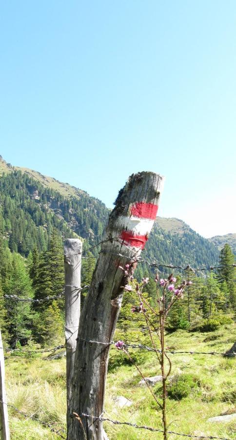 Ferienhaeuser Troester Bad Kleinkirchheim Exterior foto