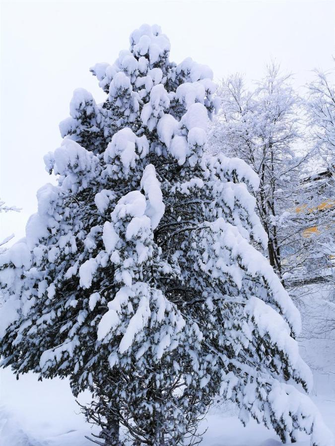 Ferienhaeuser Troester Bad Kleinkirchheim Exterior foto