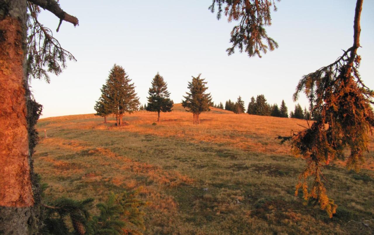 Ferienhaeuser Troester Bad Kleinkirchheim Exterior foto