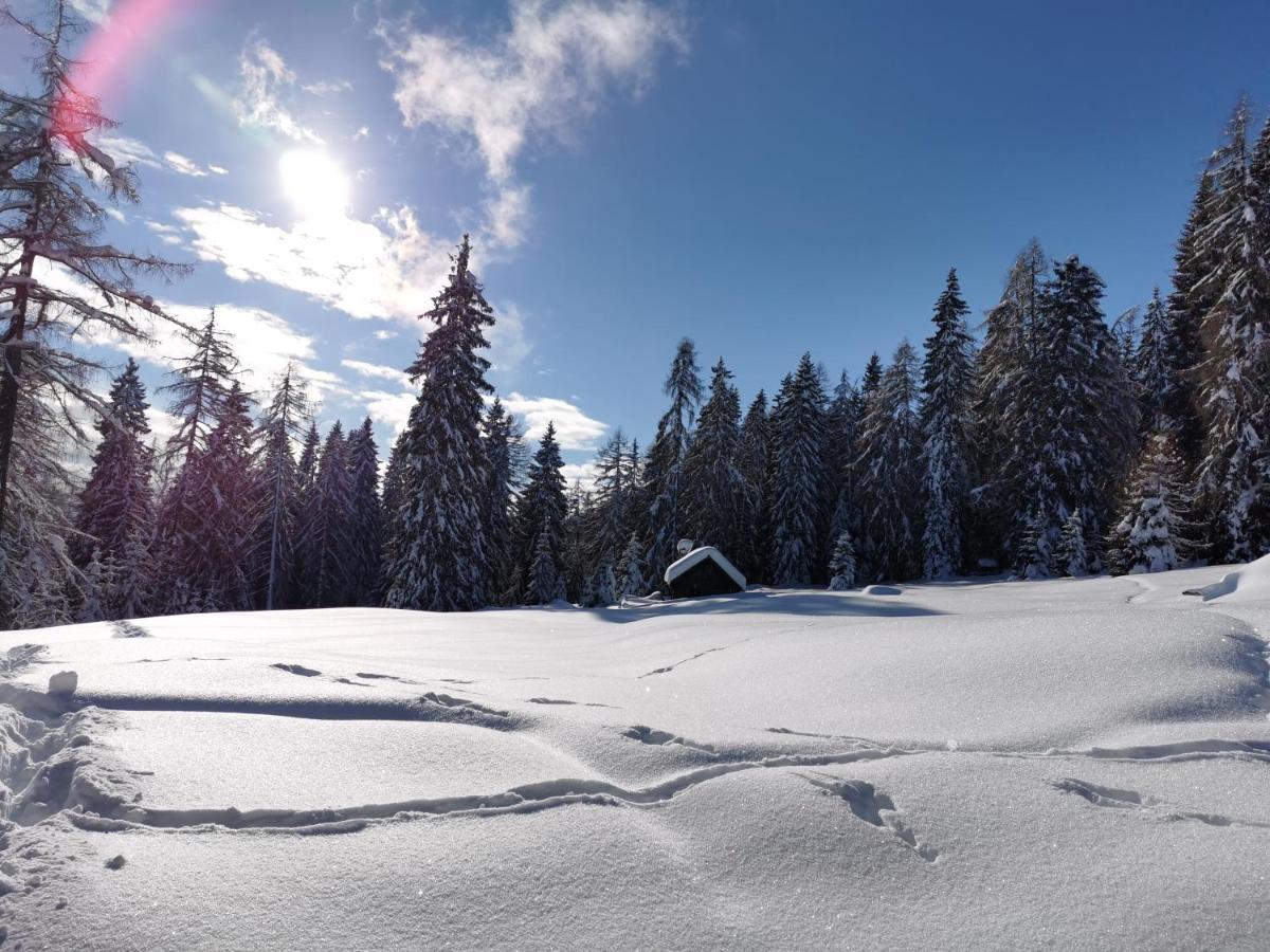 Ferienhaeuser Troester Bad Kleinkirchheim Exterior foto