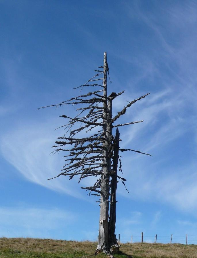 Ferienhaeuser Troester Bad Kleinkirchheim Exterior foto
